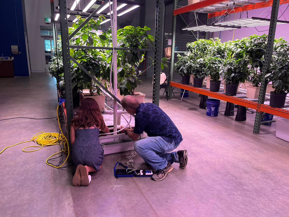 Big Guns Coffee farming story: examining the indoor growing and irrigation setup in Tryon, North Carolina