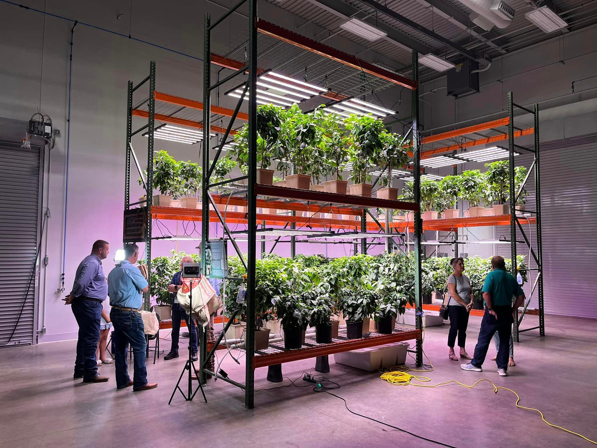 Big Guns Coffee brand story: indoor coffee trees, growing racks and lights at the Tryon, North Carolina farm